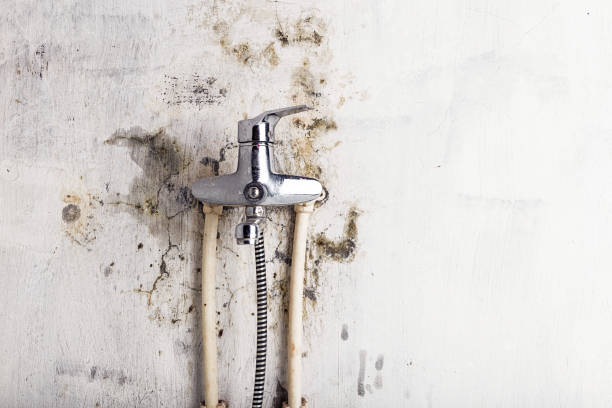 Trusted Prescott, WI Mold Removal Experts