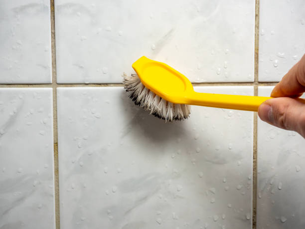 Best Fast Mold Removal  in Prescott, WI