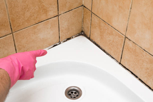 Best Mold Cleaning Services  in Prescott, WI